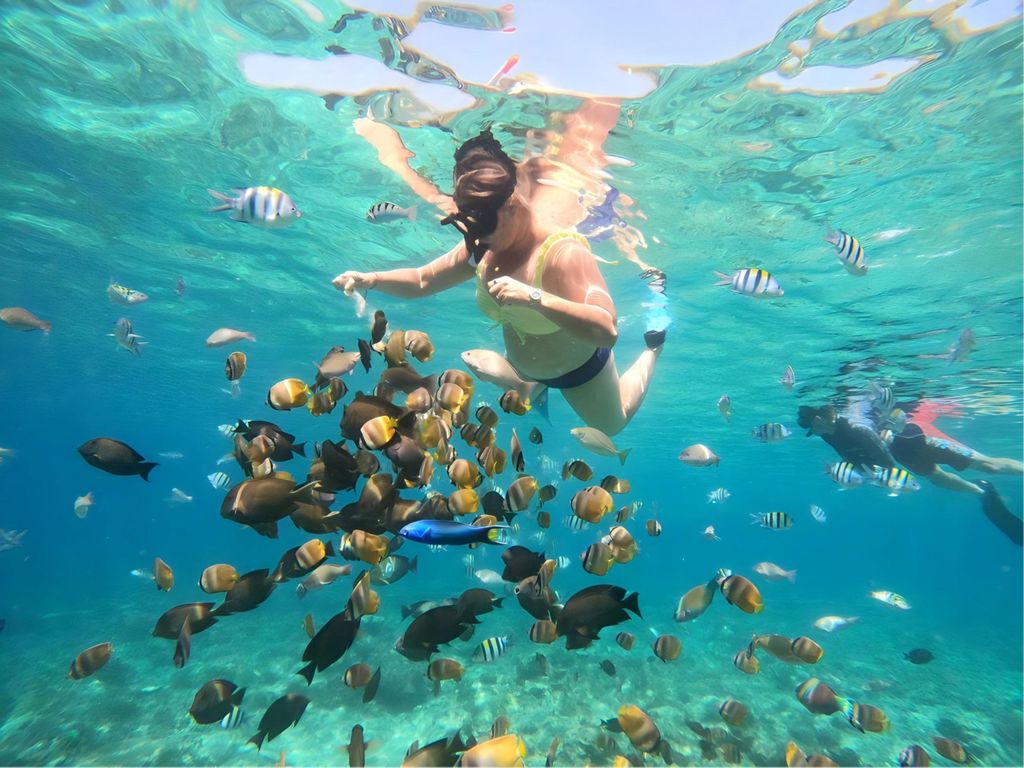 Lombok: Gili Nanggu, Sudak und Kedis Private Schnorchel Tour