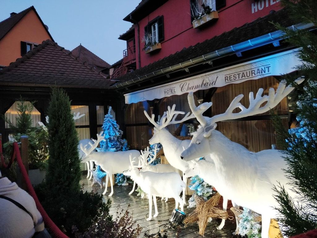 Von Colmar aus: Weihnachtsmärkte über 3 Grenzen hinweg