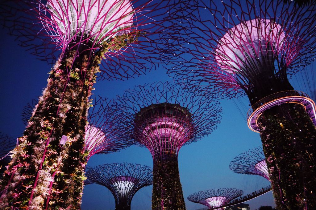 Singapur: Private Tour mit einem ortskundigen Guide