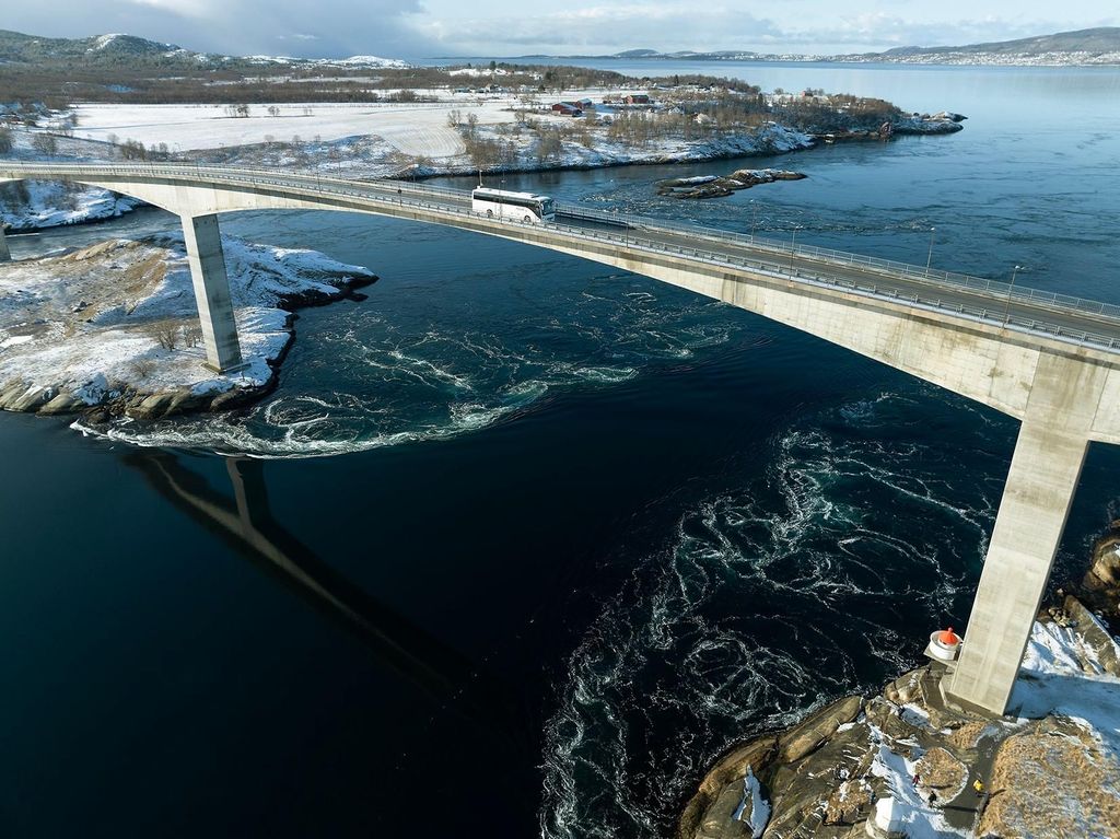 Bodø: Saltstraumen Gezeitenstrom-Tour mit AV-Guide