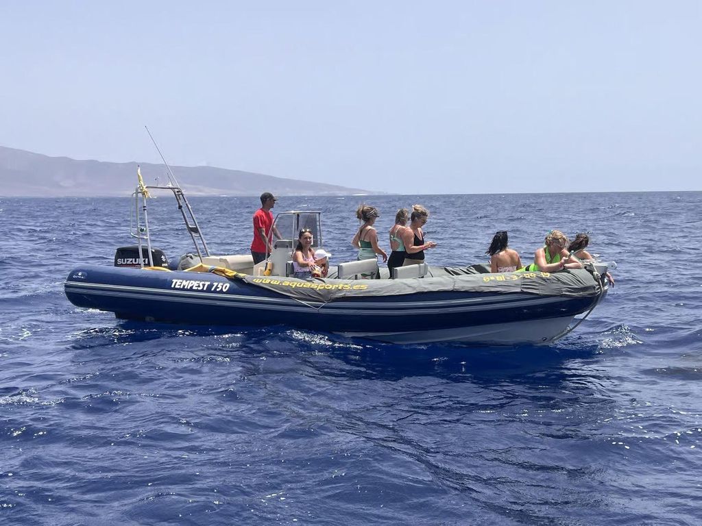 Morro Jable: Delfin- und Whale-Watching-Tour per Schnellboot