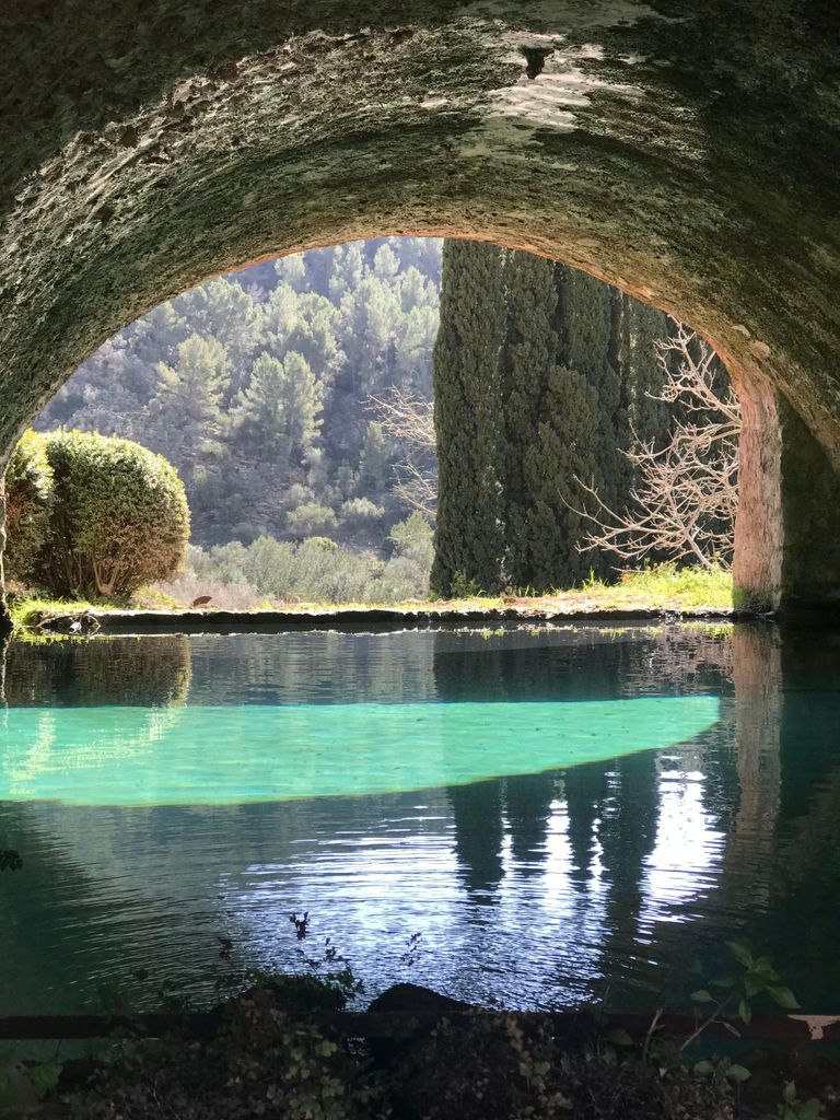 Die schönsten Gärten Mallorcas