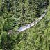 Starke Nerven benötigt: Die "Capilano Suspension Bridge" in Kanada