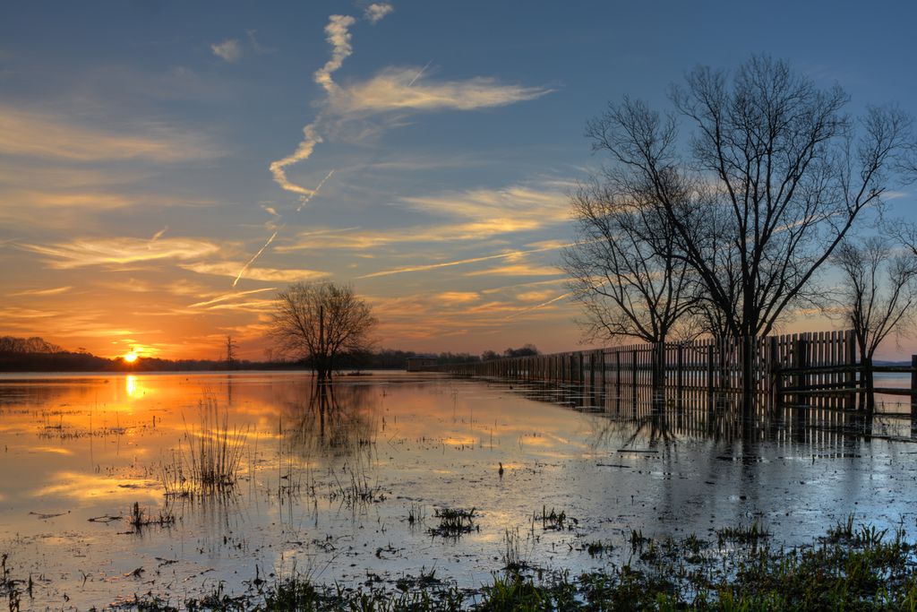 Sonnenaufgang am Ross Barnett Reservoir in Mississippi