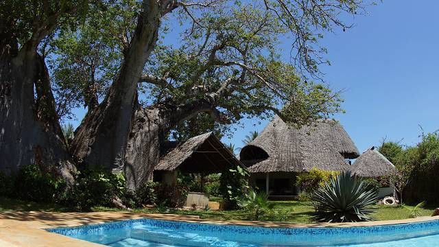 Swimmingpool und der grösste Baobab in Diani Beach 