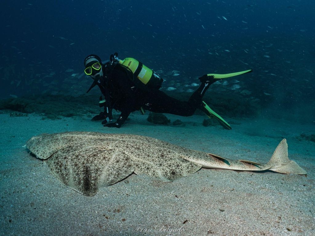 Lanzarote: SSI Open Water Diver Kurs