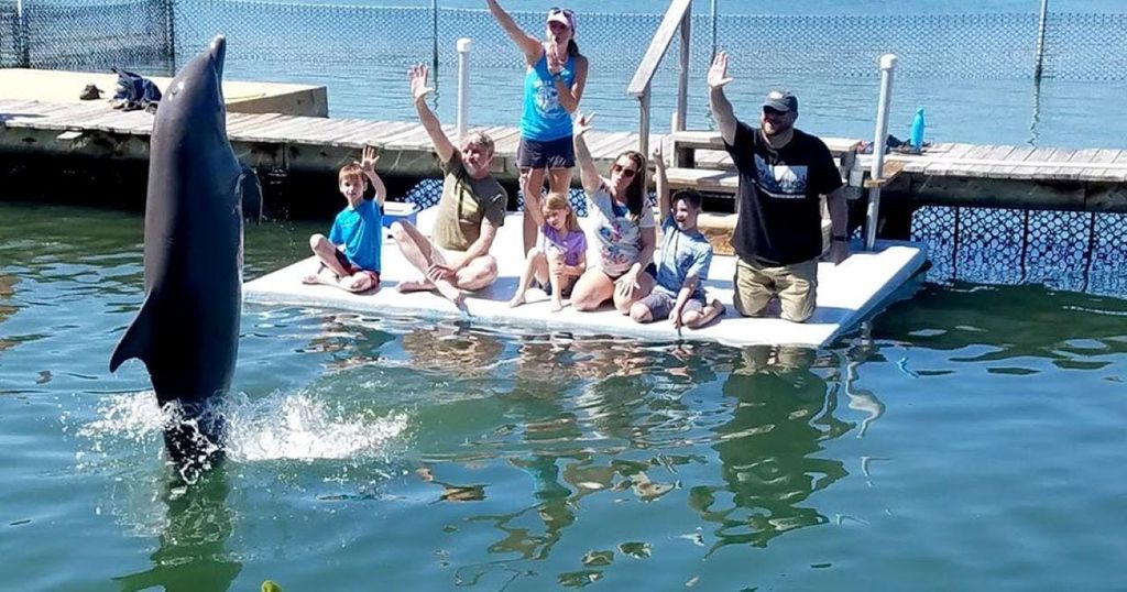 Florida Keys: Dolphin Research Center Tagestour mit Mittagessen