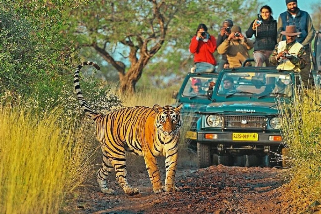 5-tägige Tour zum Goldenen Dreieck mit Ranthambore-Safari