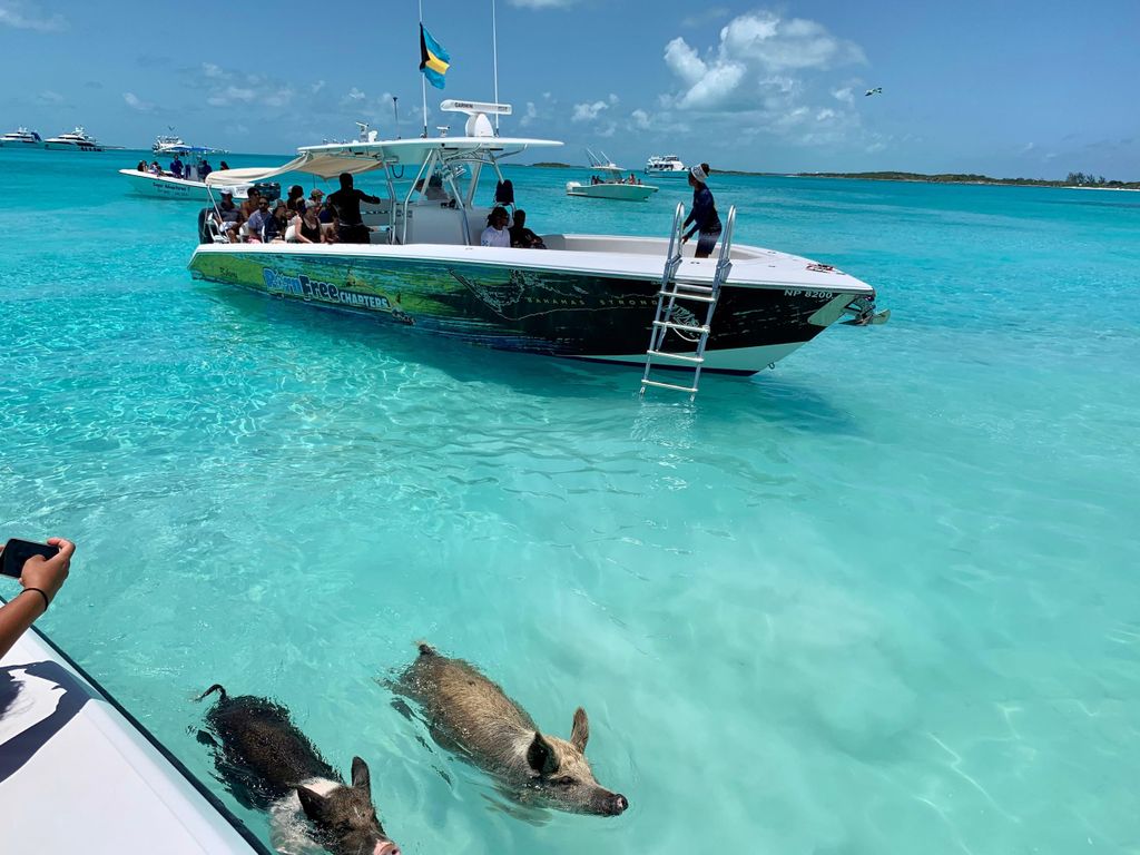 Nassau: Entdecke Exuma Inselhüpfen und schwimmende Schweine Tour