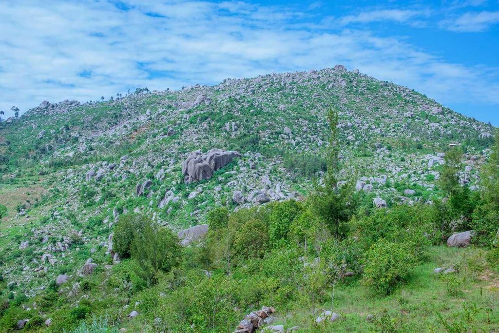 Vihiga: Geführter Waldspaziergang in den Maragoli Hills