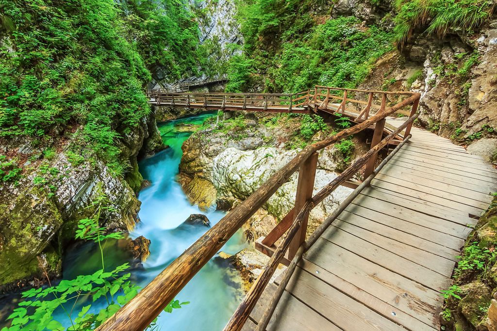 Von Bled aus: Selbstgeführte E-Bike Tour zur Vintgar-Schlucht