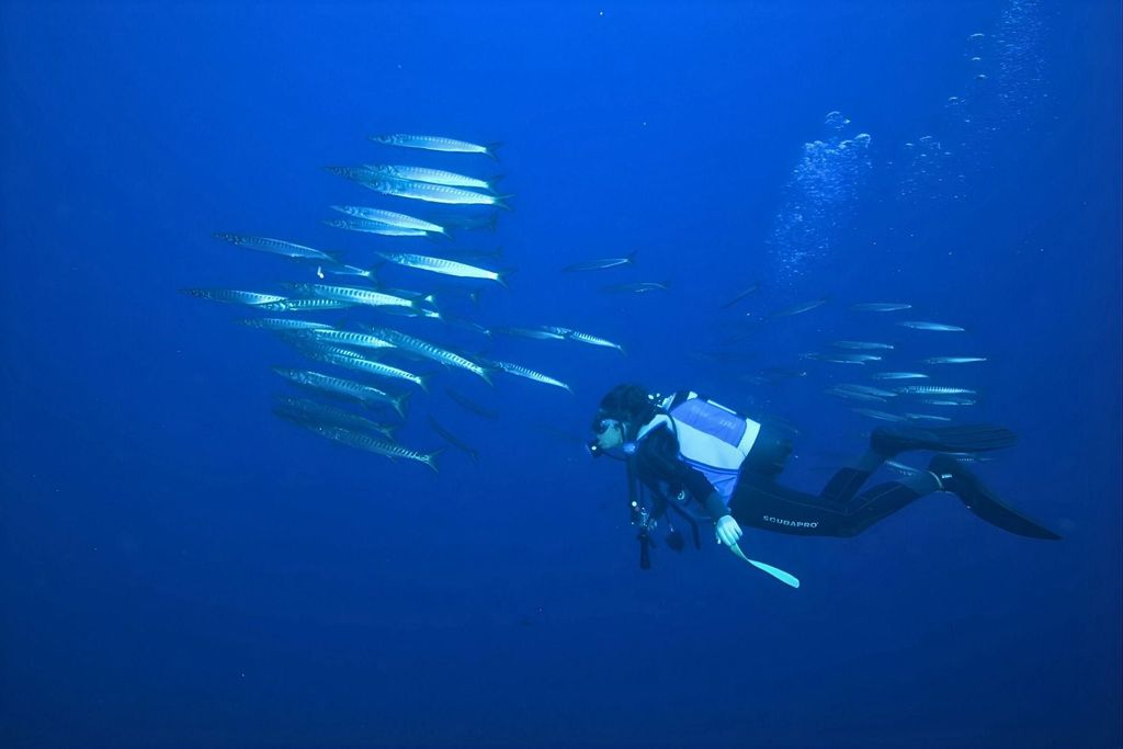 Santa Teresa di Gallura: Erster Tauchgang mit einem Kursleiter