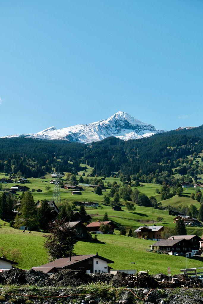 Von Zürich nach Grindelwald: Privater Transfer & First-Tickets