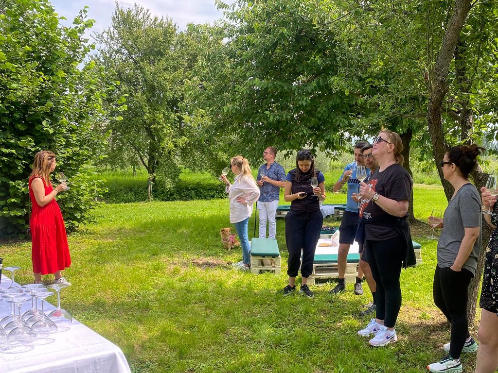 Sirmione: Weinbergstour mit Lugana-Weinen und lokalen Verkostungen