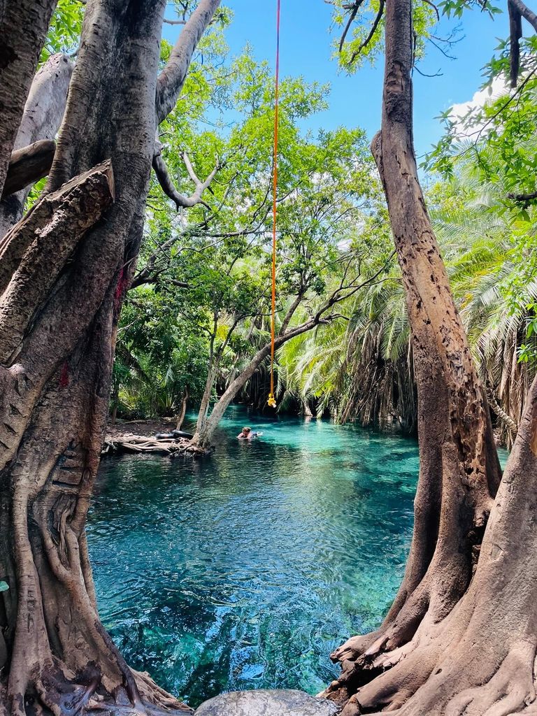 Arusha: Materuni Wasserfälle, heiße Quellen und/oder Kaffee Tour