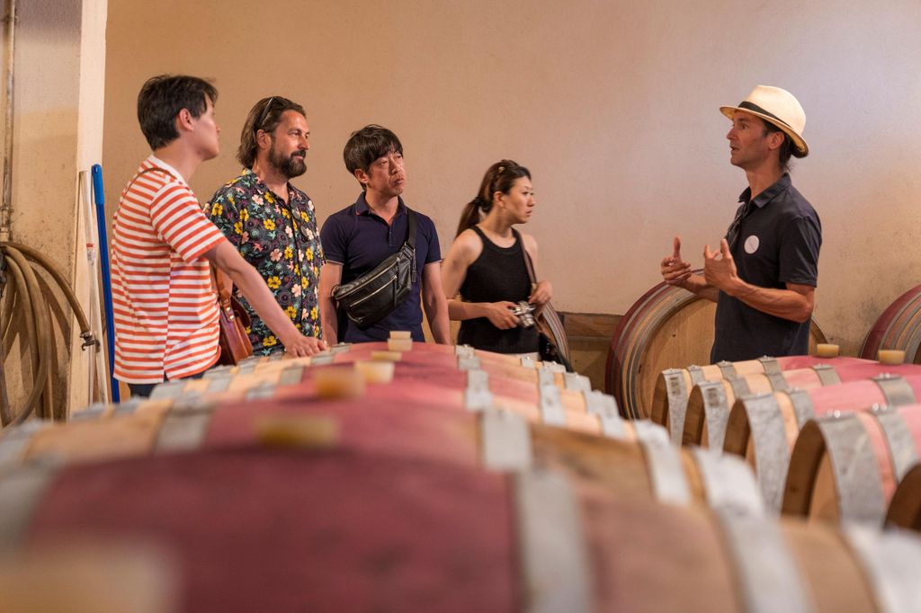 Ab Avignon: Ganztagestour durch den Luberon und Chateauneuf-du-Pape