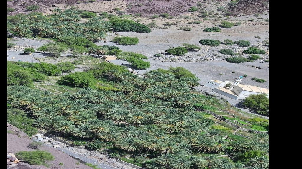 Geführte Bergtour: Sayq Plateau & Abstieg durch das Wadi Muaydin