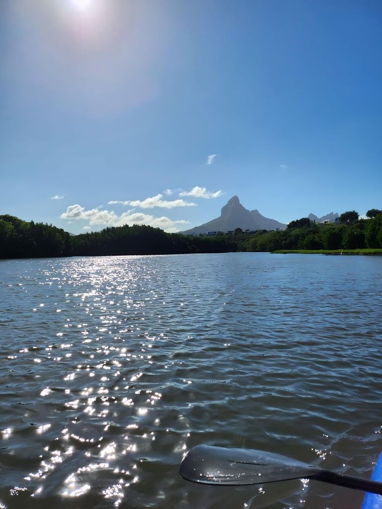 Mauritius: Geführte Kajaktour auf dem Fluss mit Affen