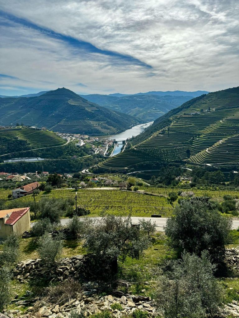 Private Ganztagestour durch das Douro-Tal