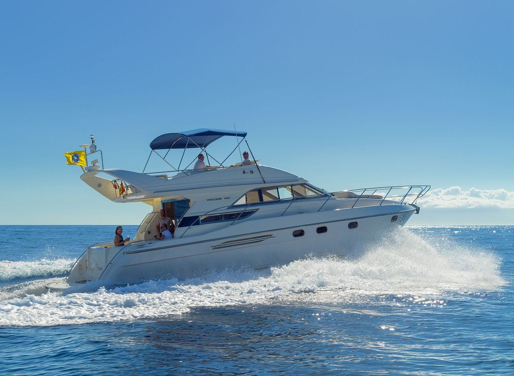 Teneriffa: Wale und Schnorcheln Tour auf einer Luxusyacht