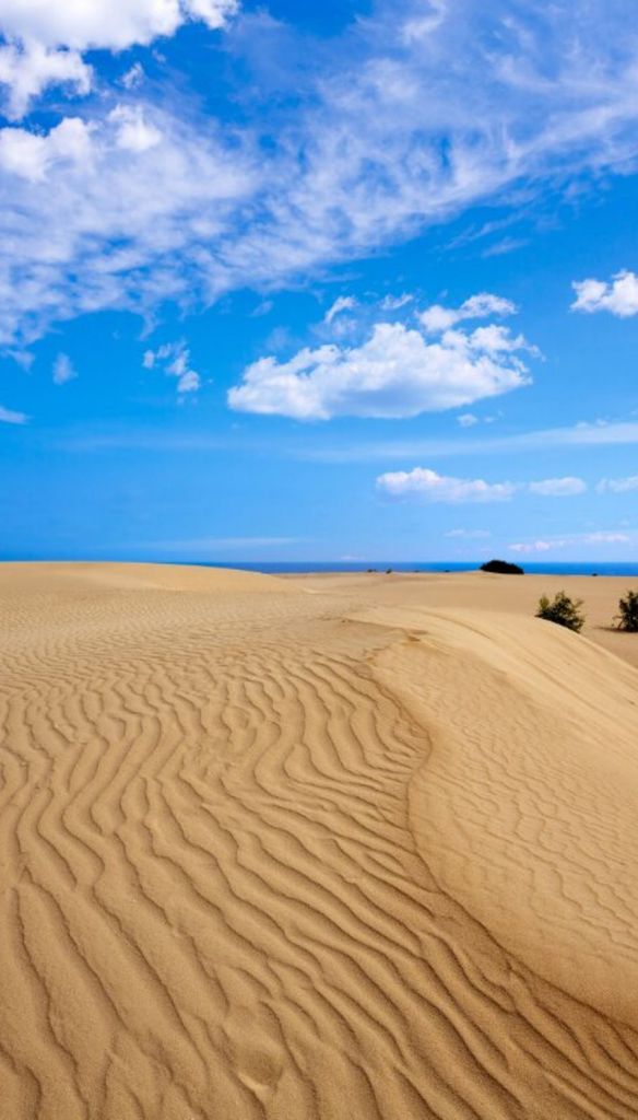 Norden von Fuerteventura: Besuch von El Cotillo, Wein und Dünen