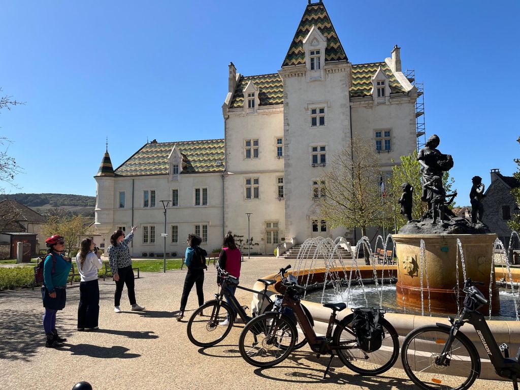 Dijon/Beaune: Ganztagestour mit Ebike Burgund, Verkostungen und Mittagessen