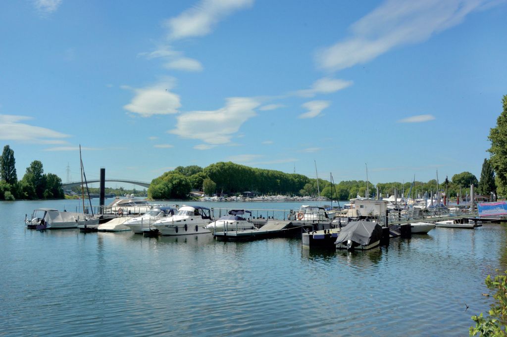 Wiesbaden: Schiersteiner Wochenmarkt & Hafentour