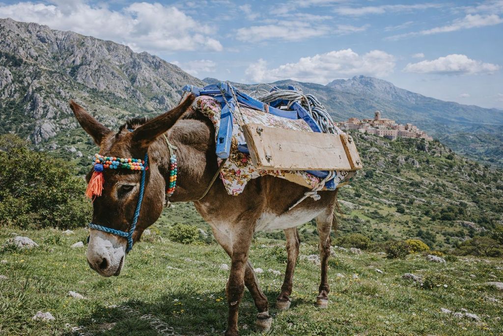Wanderung mit Eseln – von Castelbuono in die Madonie