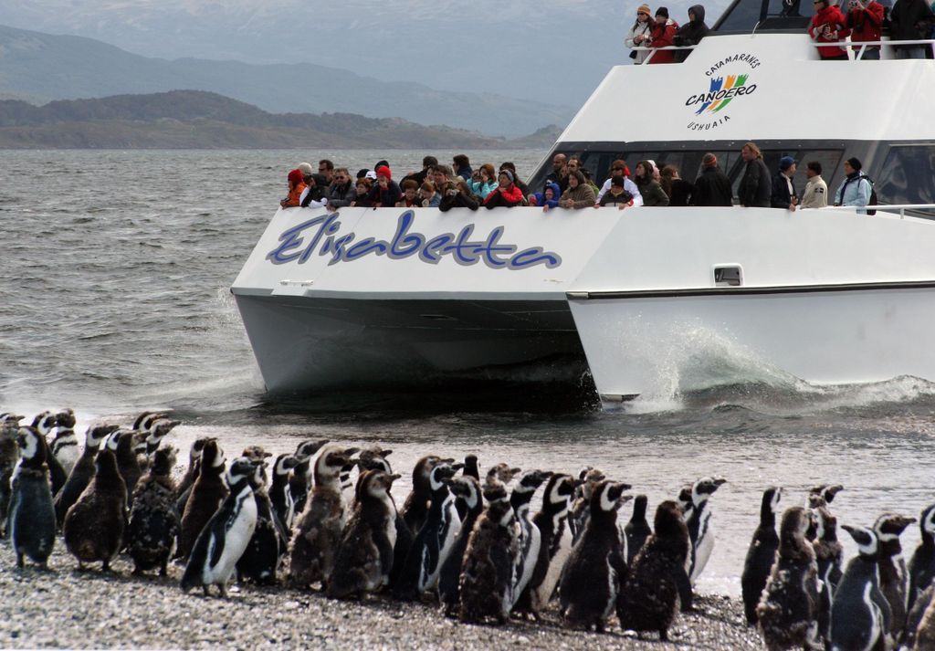 Ushuaia: Pinguin-Beobachtungstour mit dem Katamaran