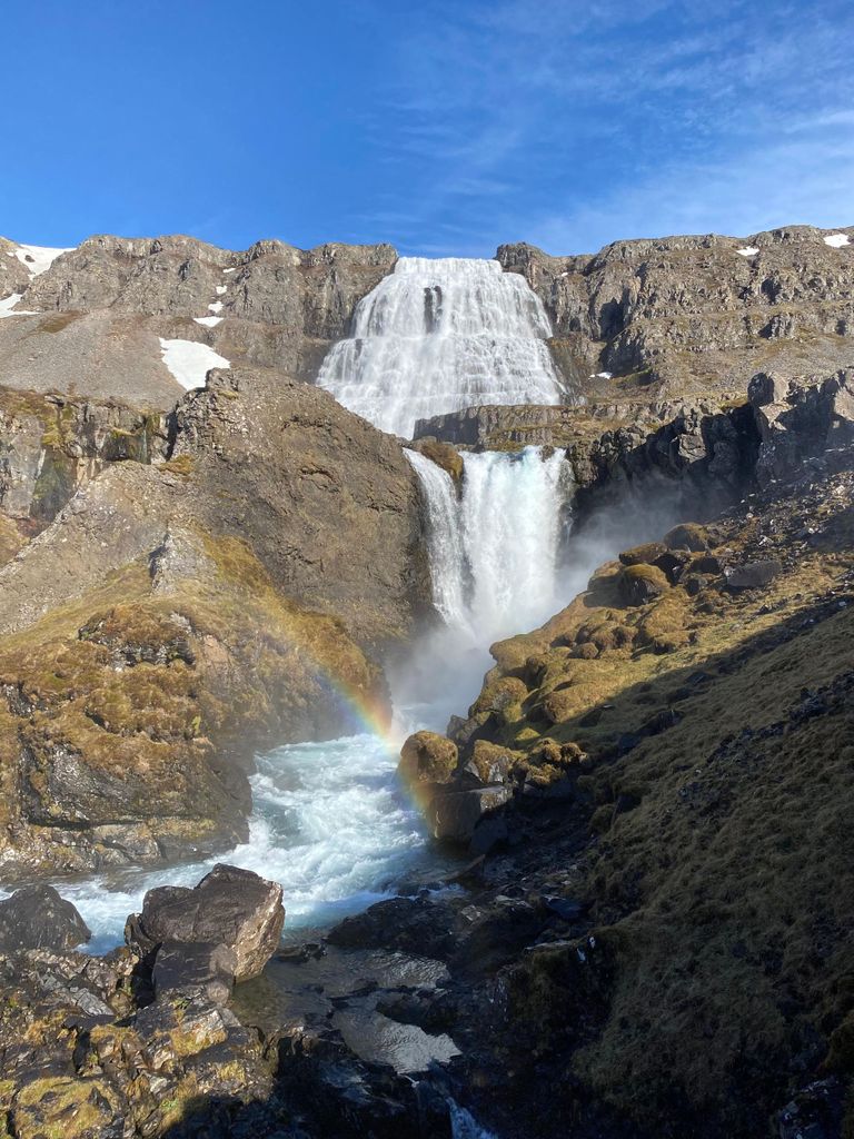 Isafjörður & Westfjorde: Private Tagestour