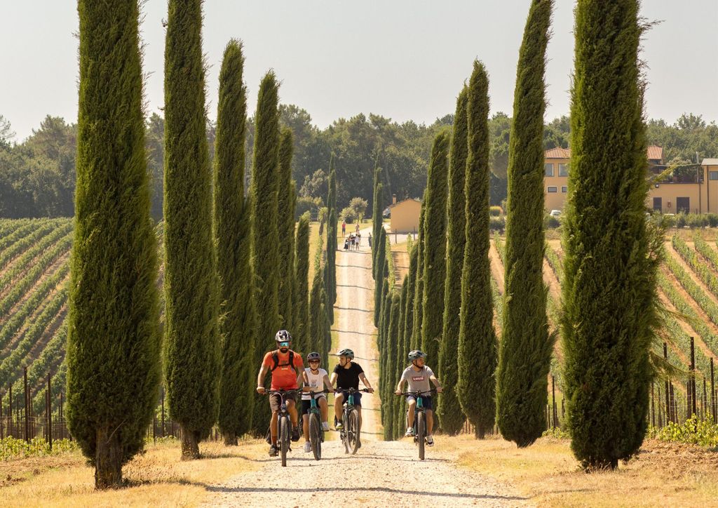 Pienza: Geführte E-Bike-Tour durch das Val d'Orcia
