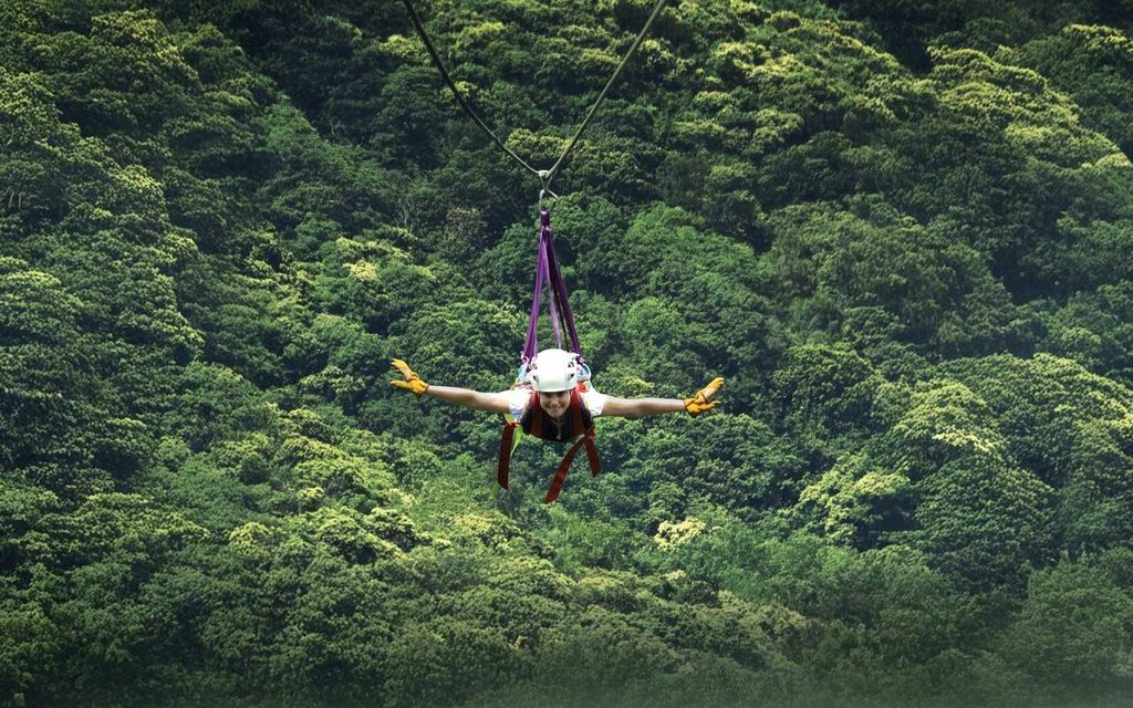 Monteverde: Zipline- und Tarzanschaukel-Tour im Selvatura Park