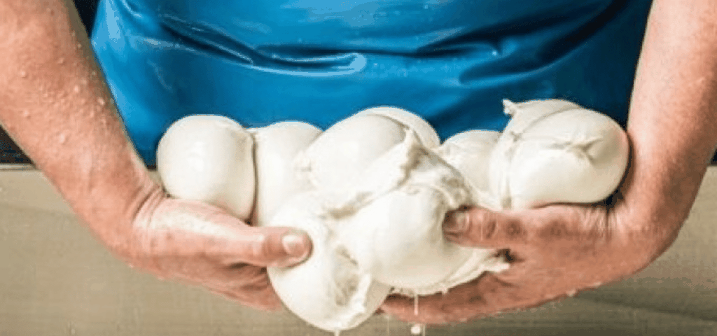 SALERNO: Paestum & Mozzarella erleben - Landausflug