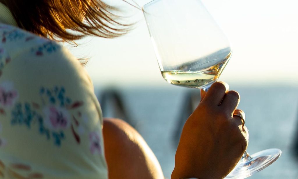 Private Tagestour ins Wiener Umland mit Weinverkostung