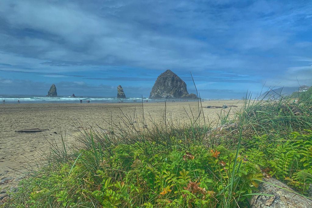 Oregon Coast Day Tour: Cannon Beach und Haystack Rock