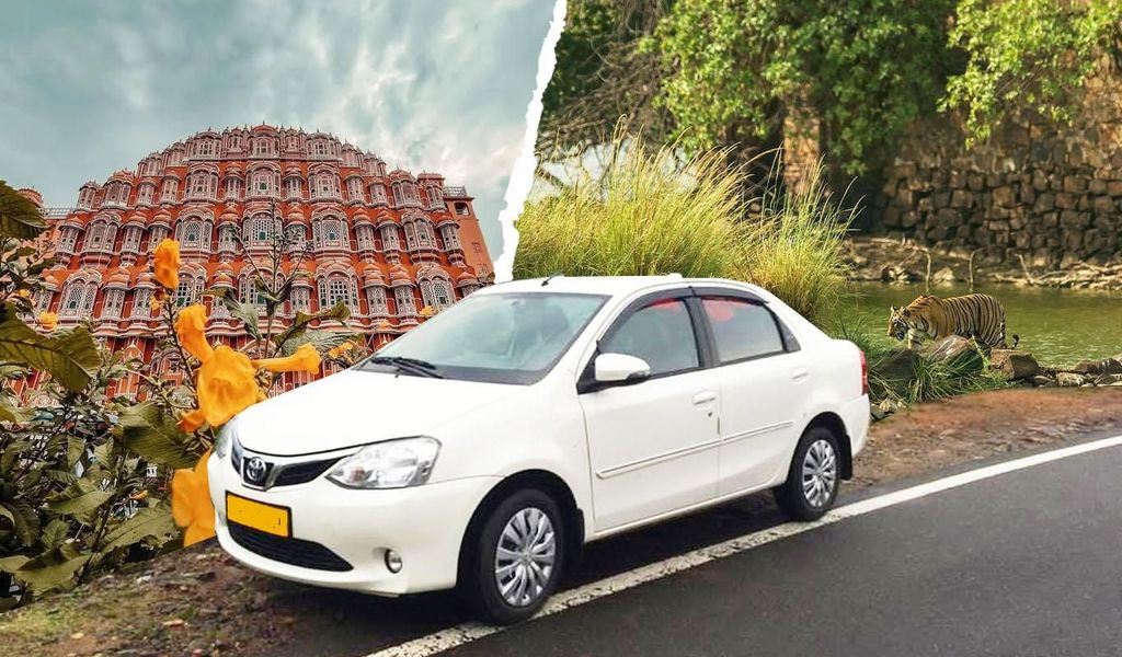 Jaipur: Privater Transfer zum/vom Ranthambore National Park