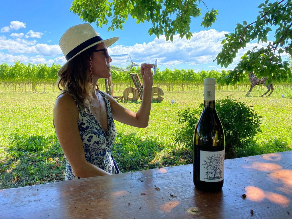 Aquileia: Weingut Tour und Verkostung