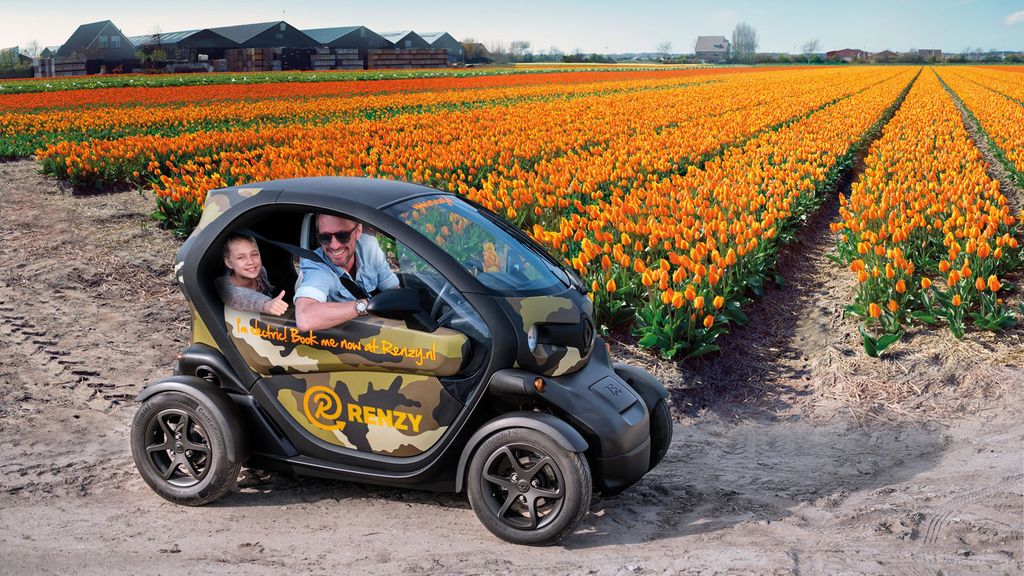 Lisse: Selbstgeführte Tulpenfelder-GPS-Audiotour