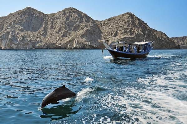 Musandam Khasab: Ganztägige Kreuzfahrt mit Transfer & Lunch