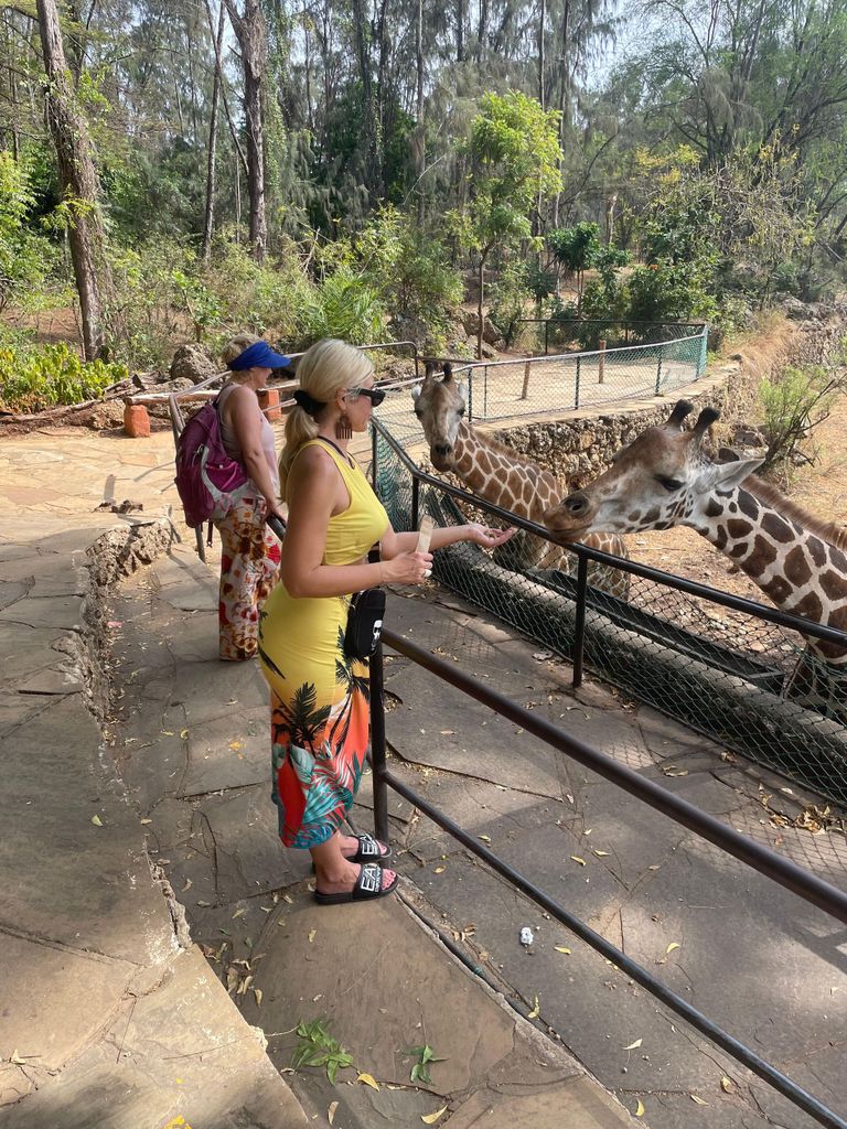 Ganztägige Stadtführung durch Mombasa & Haller Park