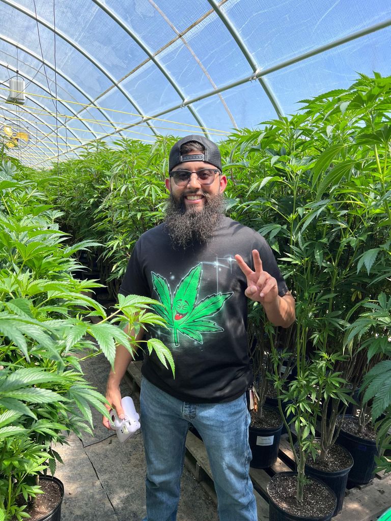 Humboldt County: Cannabisfarm-Tour mit Apothekenbesuch
