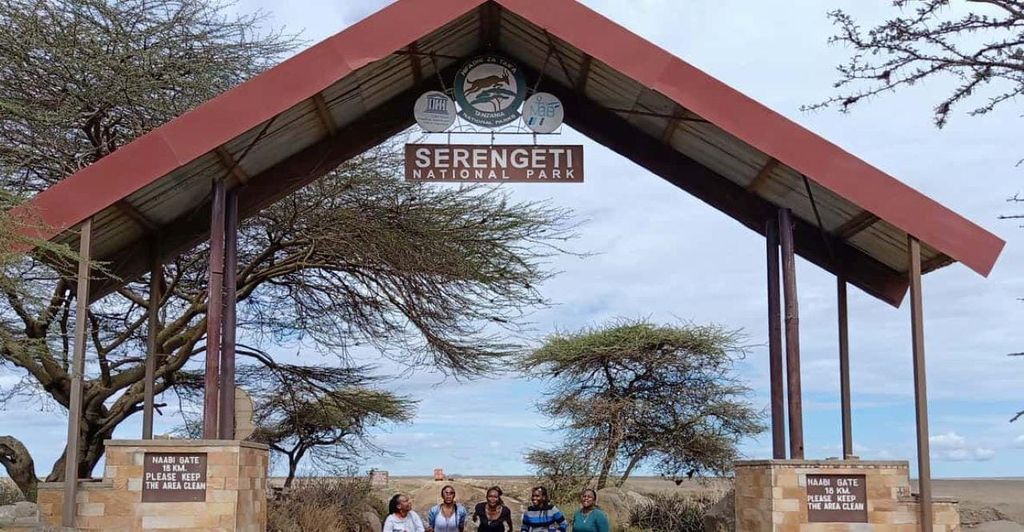 Mwanza: Serengeti-Nationalpark Tagestour mit Mittagessen