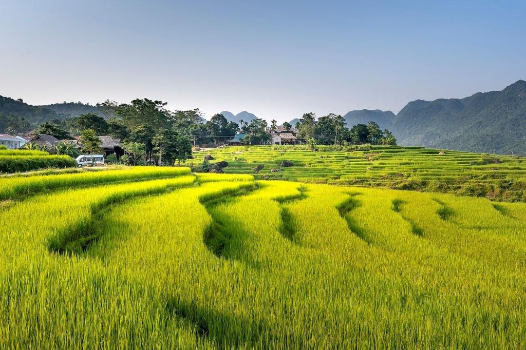 Überfahrt: Pu-Luong-Dorf, Bambus-Rafting & Reisterrassen