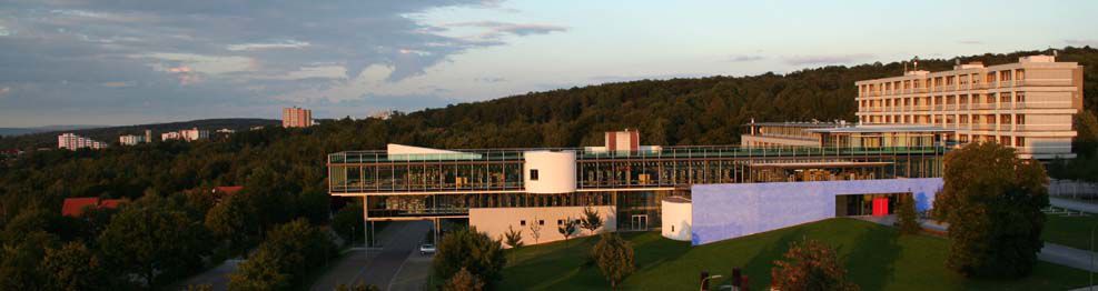 Hochschule Pforzheim Fakultät Wirtschaft und Recht