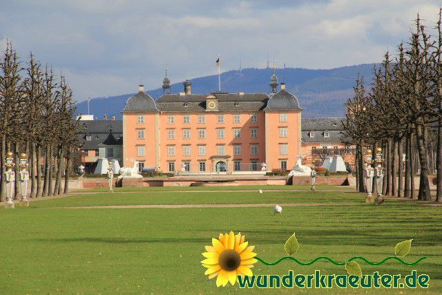 Schloss Schwetzingen - Schlossgarten