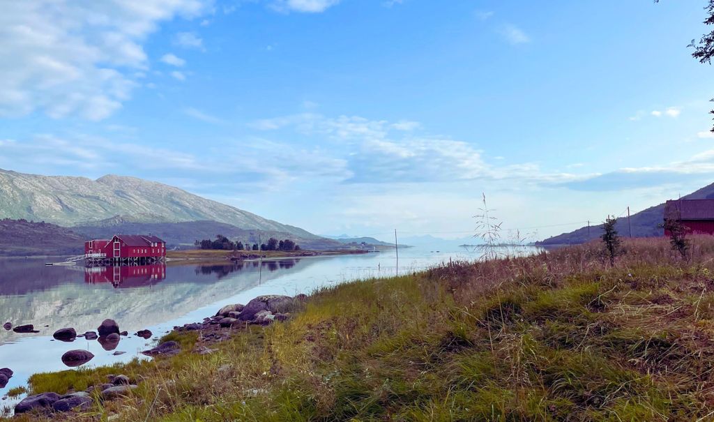 Lofoten: Geführtes Angelabenteuer mit Kochen