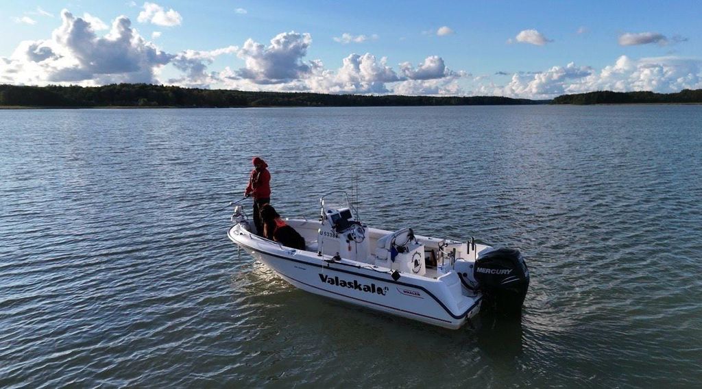 Turku-Archipel: Privater Angelausflug mit einem ortskundigen Guide