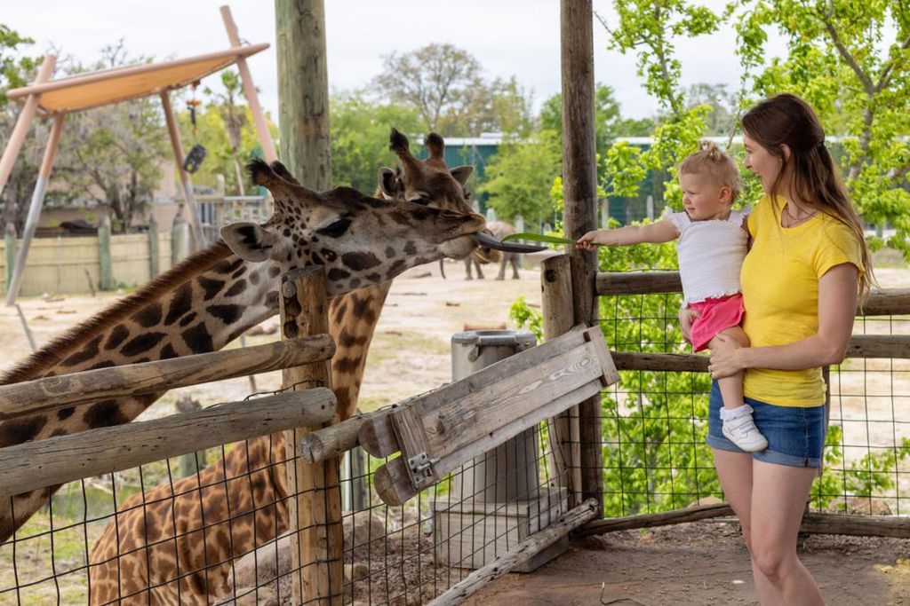 Tampa: Ticket für den ZooTampa im Lowry Park