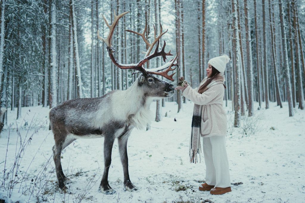 Rovaniemi: Besuch einer Rentierfarm mit Fotografin