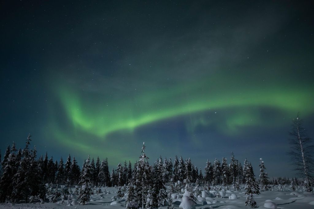 Rovaniemi: Nordlicht-Tour mit chinesischem Guide